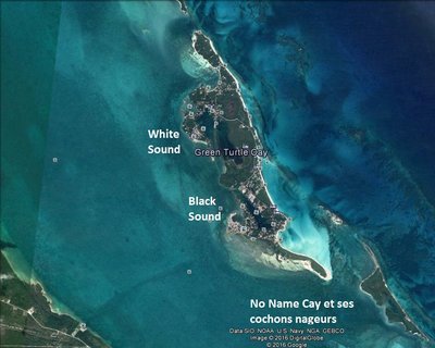 grean turtle cay.jpg