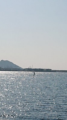 marseille (2).jpg