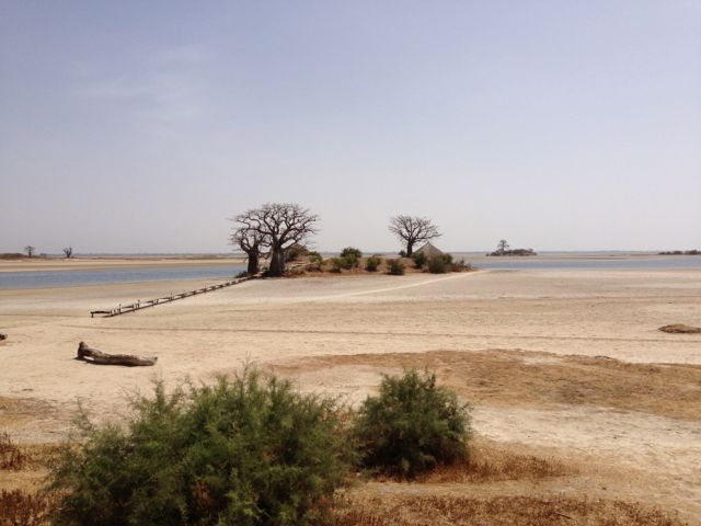 Saloum 4.jpg